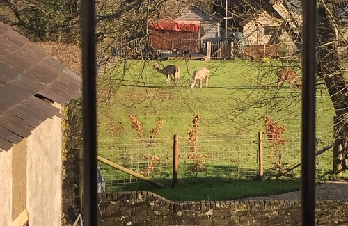 New Forest District House | Delightful New Forest cottage with hot tub and direct forest access, sleeps 8