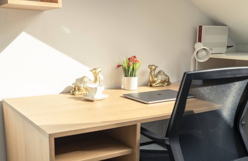 Wieseck Condo | Deluxe Suite | Living+Workplace