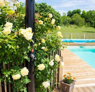 Saint-Thomas-de-Conac House | demeure d'alienor