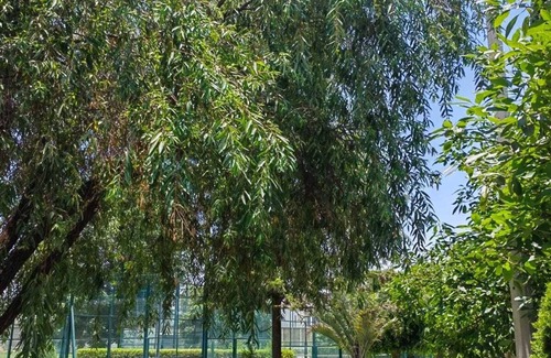 Puebla Apartment | Departamento Lujo a 5 min Volkswagen y Finsa, Cancha Padel Pista Trote