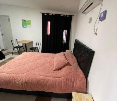 Villa Mercedes Apartment | Departamento Las Palmeras