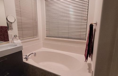 North Scottsdale House | Desert Rose of Scottsdale