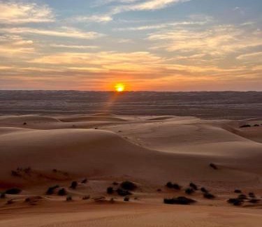 Bidiya Other | Desert Vibes Camp