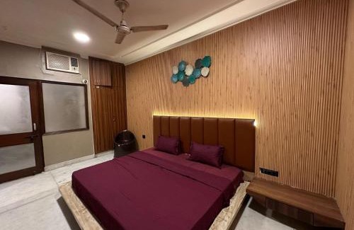 Janakpuri House | Desire Courtyard