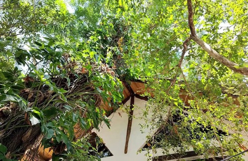 Lagoa Pequena Ski Chalet | Deslumbrante Chalé Imerso em Bosque Particular