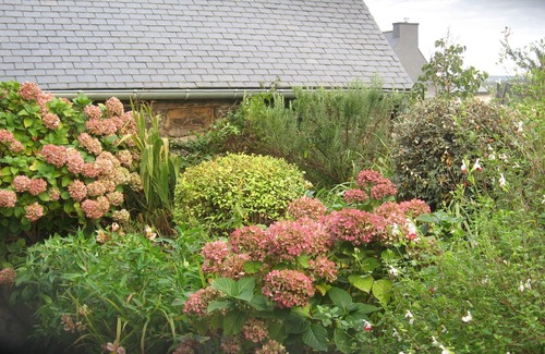 Minihy-Treguier House | Detached granite house in TREGUIER