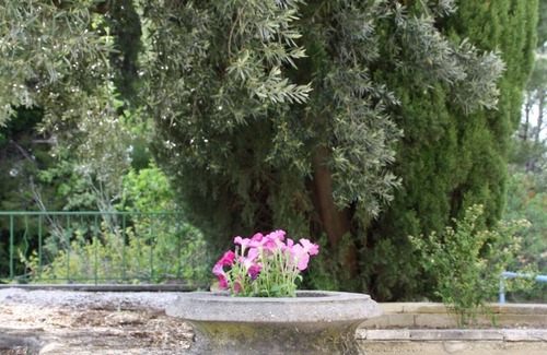 Beaumes-de-Venise House | Detached holiday home with pool in Beaumes de Venise!