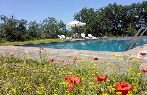 Gaiole in Chianti Cottage | Detached house in heart of Chianti Classico,pool,quiet panoramic position,WLAN
