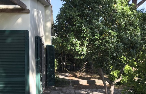 Procchio Apartment | Detached house few steps from the beautiful beach of Procchio