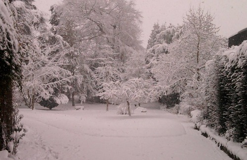 Forges-les-Eaux House | Detached Zen house in a lovely wooded park