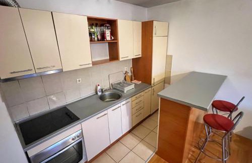 Bistrica Apartment | Detelinara