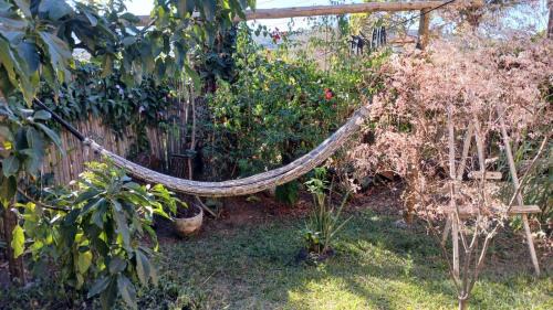 Diamantina House | Diamantina, Curralinho Extração