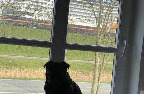 Jemgum Apartment | Die Seele baumeln lassen in Ostfriesland/ Nordsee