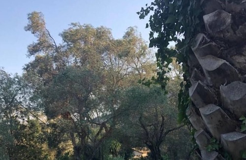 Doukades Cottage | Dimoulitsa Villas Complex