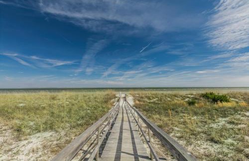 Oceanmarsh Subdivision House | Direct Ocean View! M Building Pool and Ocean Views