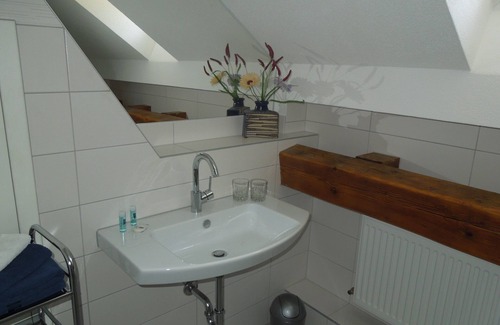 Mainz-Bingen Apartment | Directly on the Rhine in the Welterbe Upper Middle Rhine Valley between castles and vines