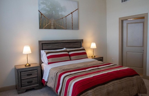 Astrodome Apartment | Discounted Penthouse w/ NRG View in the Med Ctr