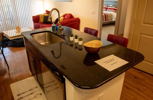 Astrodome Apartment | Discounted Penthouse w/ NRG View in the Med Ctr