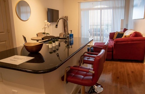 Astrodome Apartment | Discounted Penthouse w/ NRG View in the Med Ctr