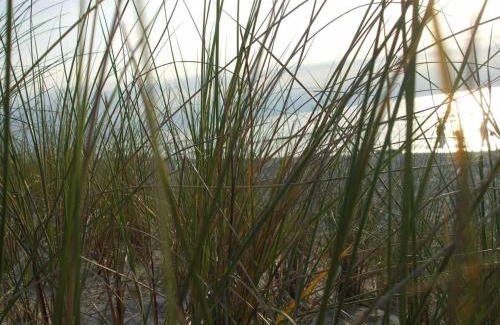 Seeheilbad Graal-Muritz Apartment | discovAIR Graal Müritz -Haus Quisisana- Strandnah mit Netflix