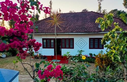 Stuart Hill House | Divine home stays