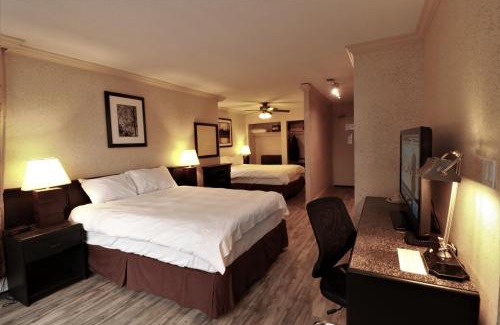 West End Apartment | Divya Sutra Suites on Robson Downtown Vancouver