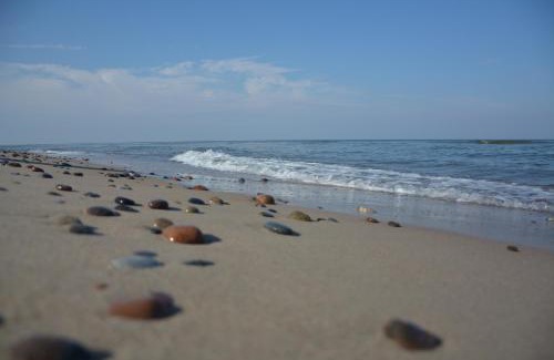 Lukecin Apartment | Dmuchawiec Łukęcin