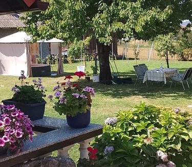 Mursko Sredisce Apartment | Dobrodošli