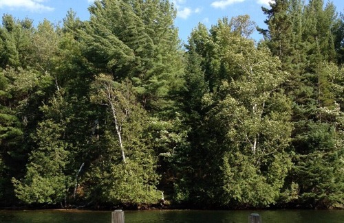 Norland House | Dog-friendly comfort in Cottage Country!