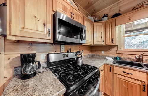 Ellijay Cabin | Dog-Friendly Forest Cabin with Hot Tub, Shared Pool, Game Room, Two Decks