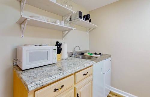Baneberry Apartment | Dog-friendly studio with fitness room & game room - walk to the lake