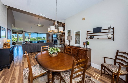 Palm Harbor House | Dolphins in your backyard! Peaceful waterfront oasis w/sparkling pool & hottub.