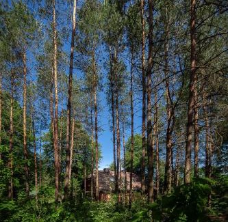 gmina Dziadkowice House | Dom na Podlasiu