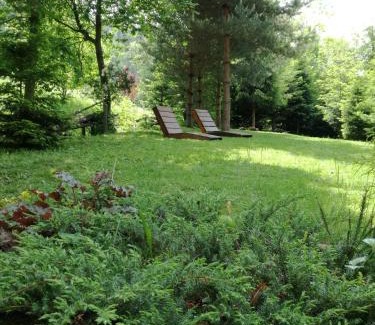 Ochotnica Dolna Ski Chalet | Dom pod Jesionami