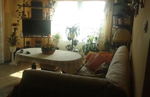 Lesna House | Dom Pod Różą