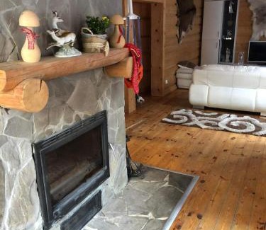 Krynica-Zdroj House | Dom pod Złotą Łyżwą