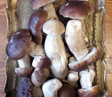 gmina Drawsko Cabin | Dom w Puszczy