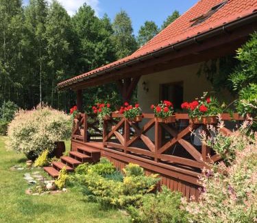 Ostrow Wielki House | Dom w Sąpach