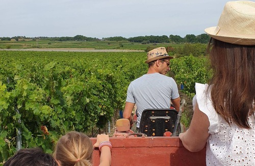 Tourbes House | Domaine de l'Envolée