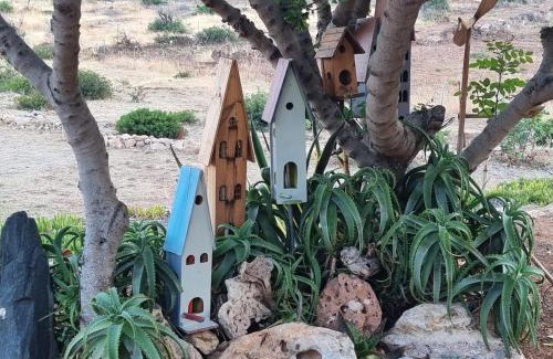 Elafonisos Bed & Breakfast | Domatia me Thea