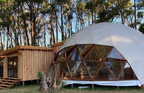 Maldonado House | Dome house in the nature, forest and beach