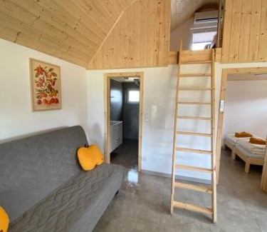 Zlocieniec House | Domek Antonówka