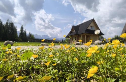 Poronin Ski Chalet | Domek Góralsko Gawra
