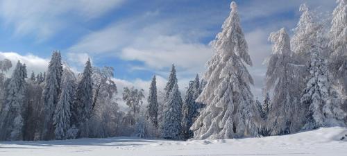 Krempachy House | Domek na Przełęczy