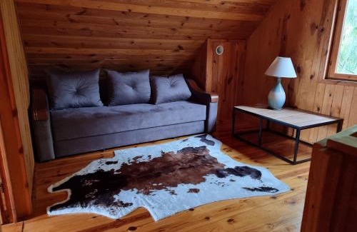 gmina Topolka House | Domek na wsi nad jeziorem , prywatny staw