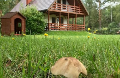Popielzyn Zawady House | Domek nad Wkrą