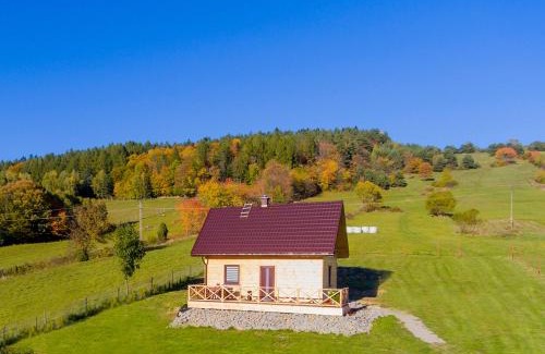 Rabe House | Domek Orlikowe Wzgórze