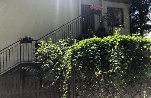 Gmina Witkowo Apartment | Domek pod świerkami 1