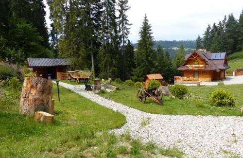 Lapsze Nizne Apartment | Domek pod Howyzem