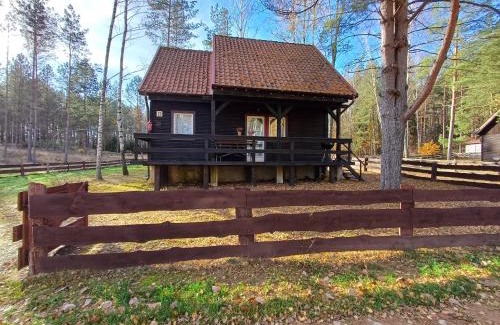 Gietrzwald House | Domek u Bartnika z basenem na Mazurach